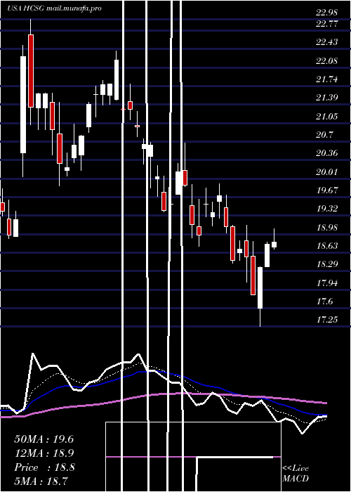  Daily chart HealthcareServices