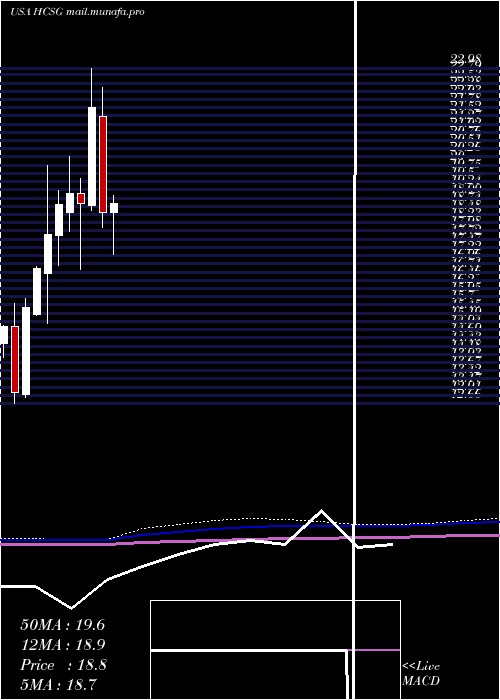  monthly chart HealthcareServices