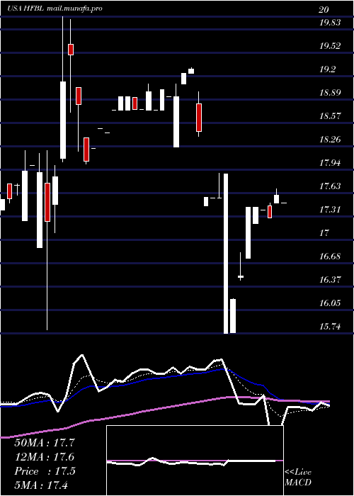  Daily chart HomeFederal