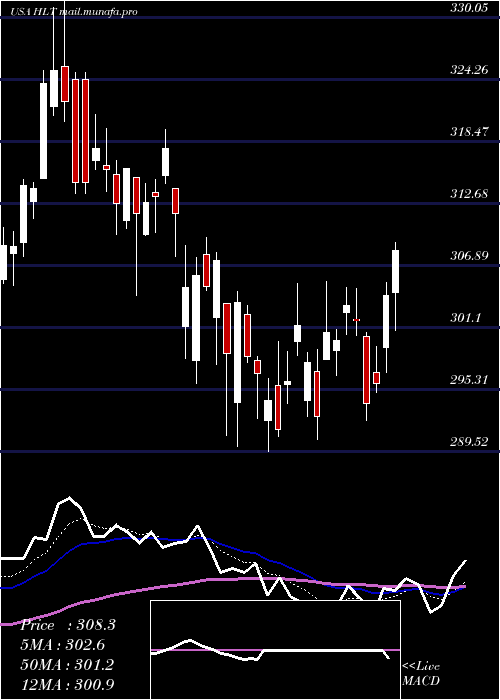  Daily chart HiltonWorldwide