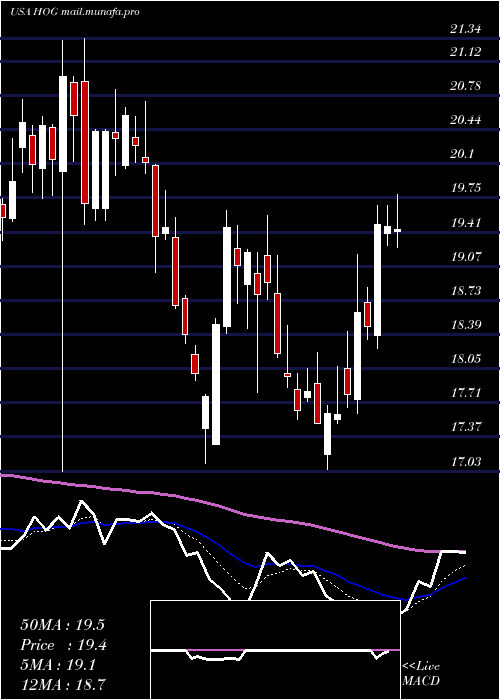  Daily chart HarleyDavidson