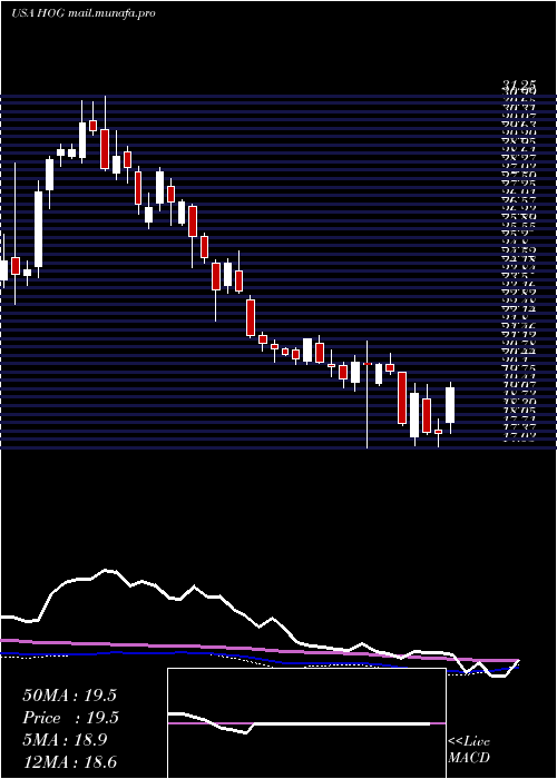  weekly chart HarleyDavidson