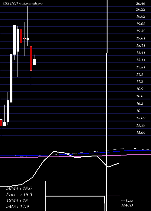  monthly chart TeklaHealthcare