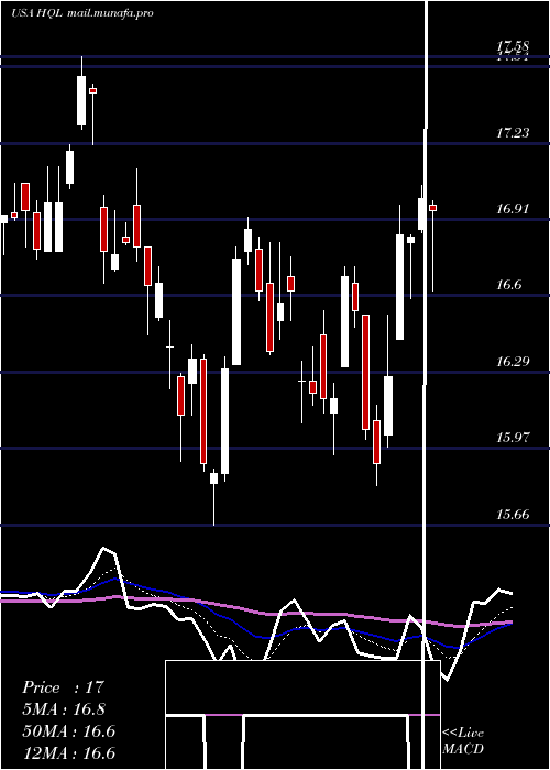  Daily chart TeklaLife