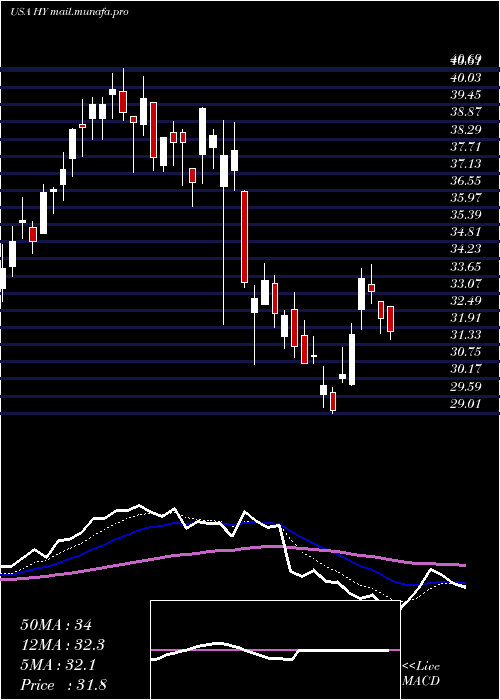  Daily chart HysterYale