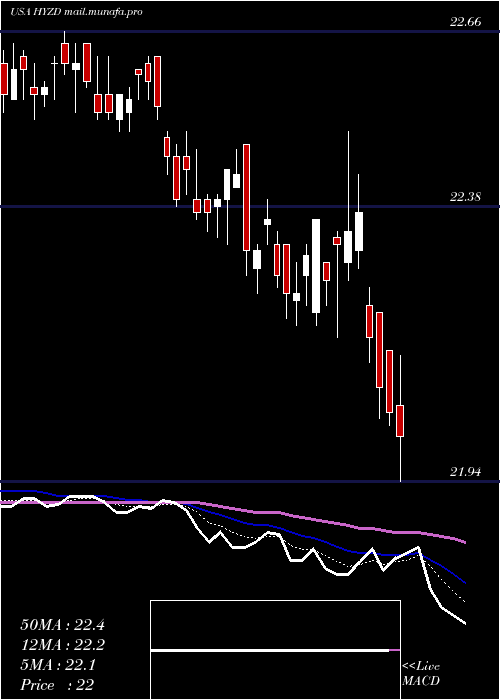  Daily chart WisdomtreeInterest