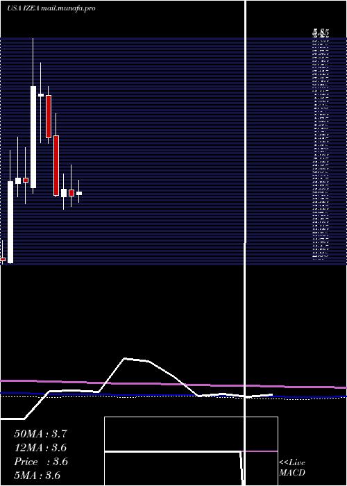  monthly chart IzeaWorldwide