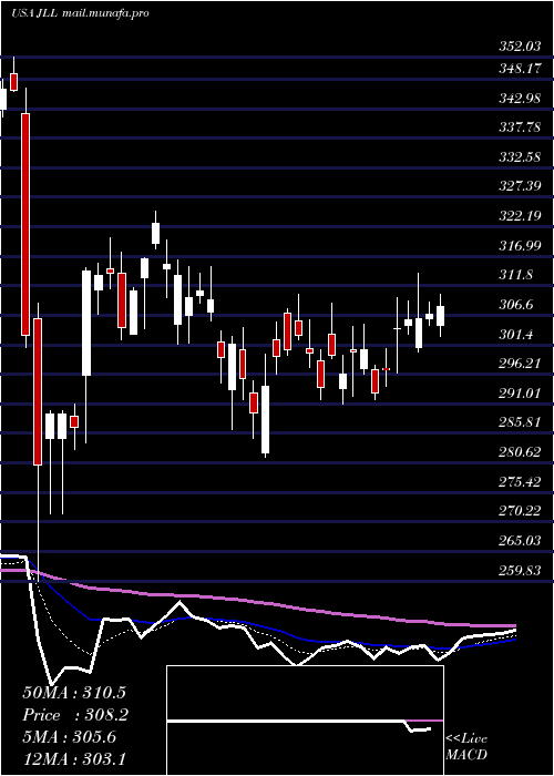  Daily chart JonesLang