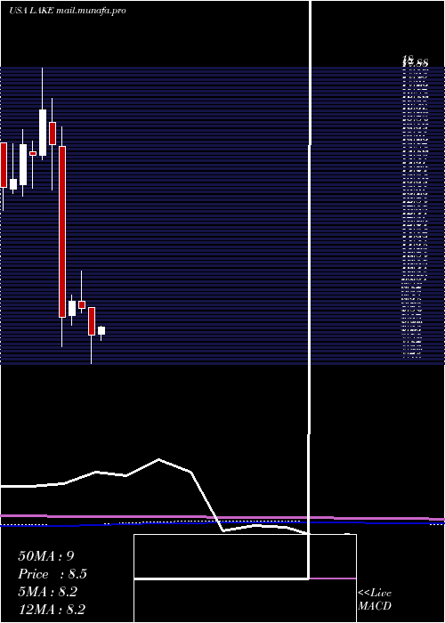  monthly chart LakelandIndustries