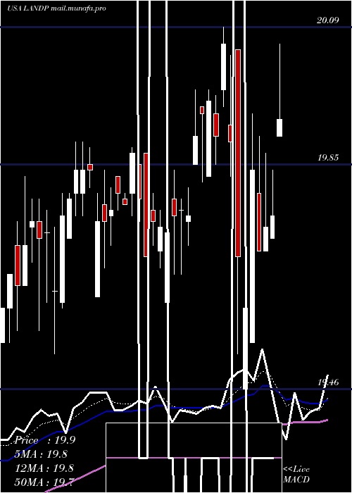  Daily chart GladstoneLand