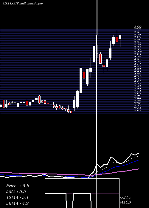  Daily chart LifetimeBrands