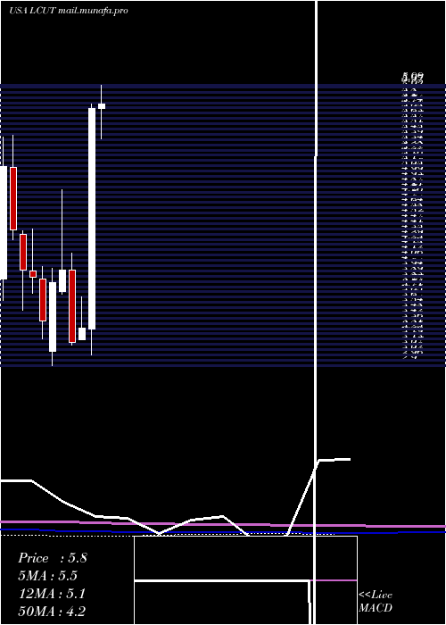  monthly chart LifetimeBrands