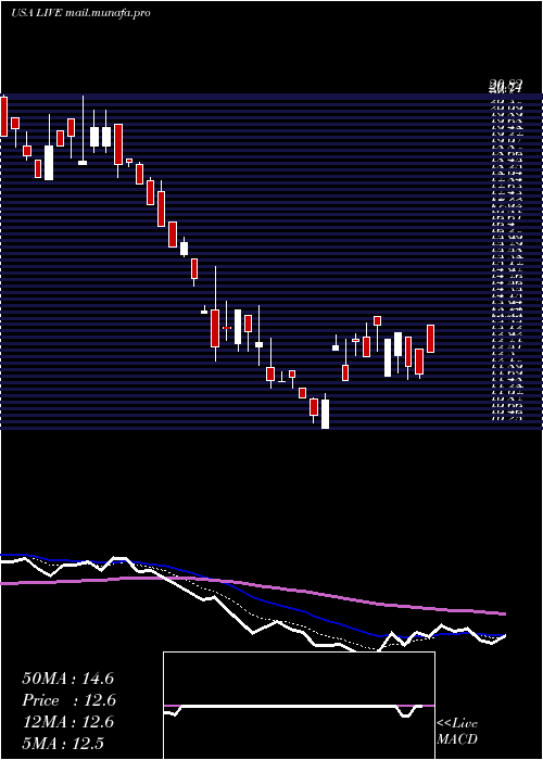  Daily chart LiveVentures