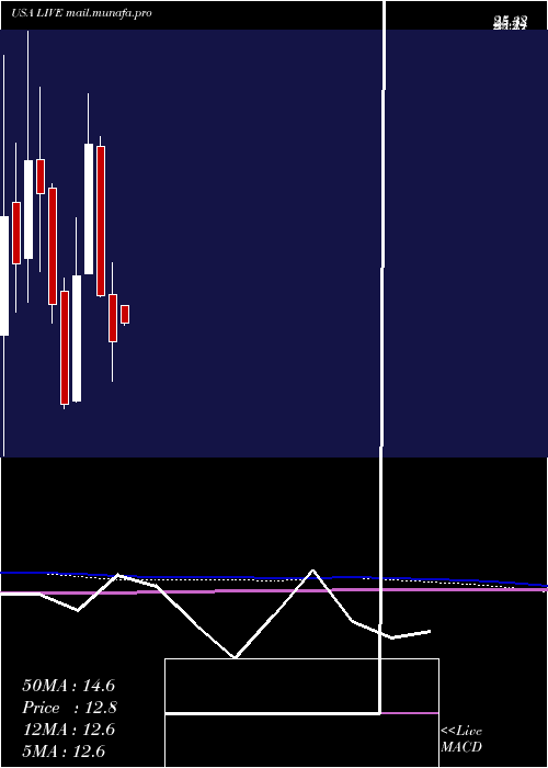  monthly chart LiveVentures