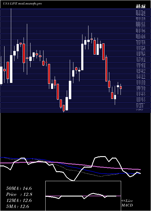  weekly chart LiveVentures
