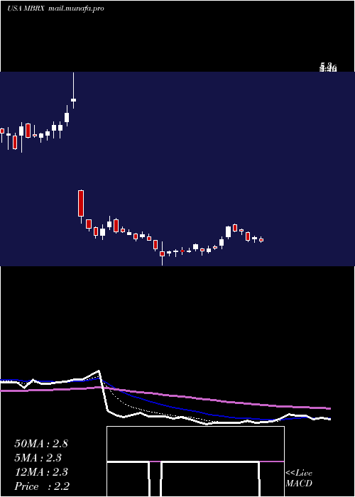  Daily chart MoleculinBiotech