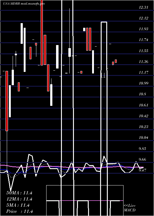  Daily chart MedalistDiversified