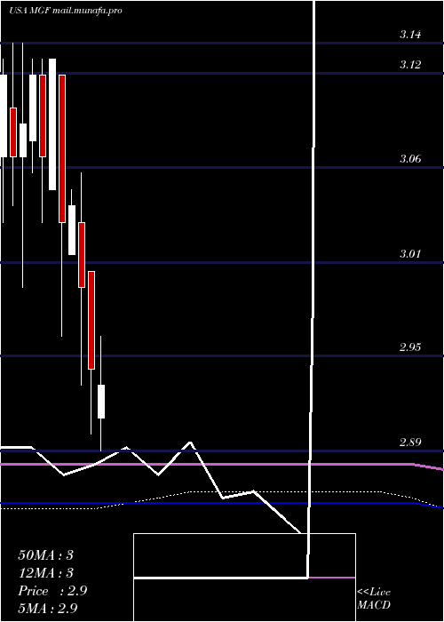  monthly chart MfsGovernment