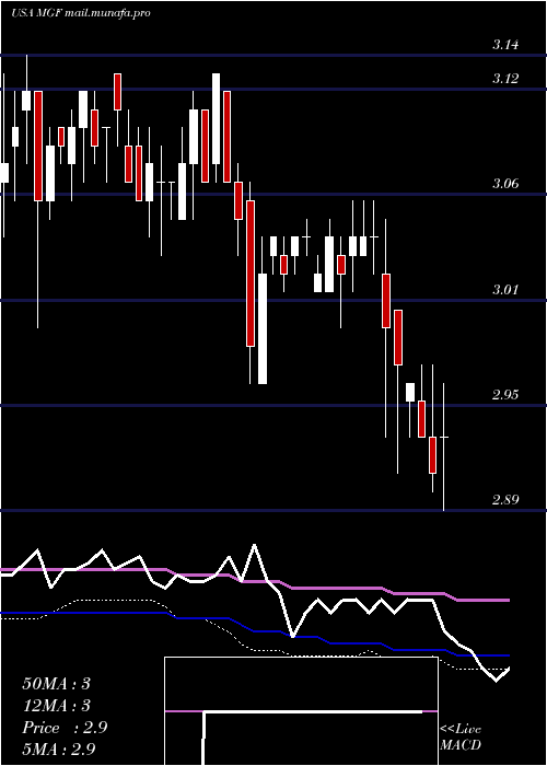  weekly chart MfsGovernment