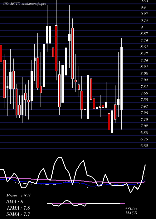  weekly chart MeiragtxHoldings