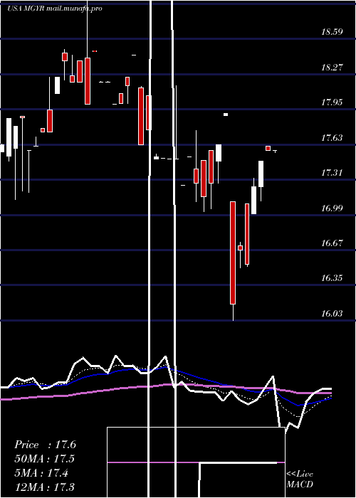  Daily chart MagyarBancorp