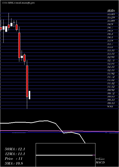  monthly chart MaidenHoldings