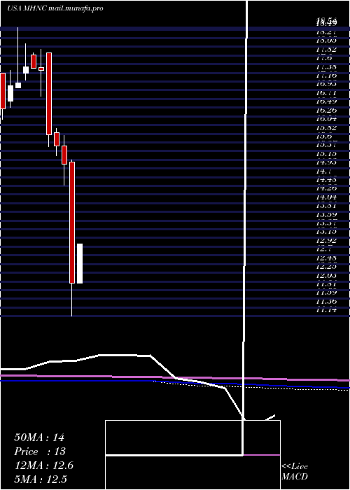  monthly chart MaidenHoldings