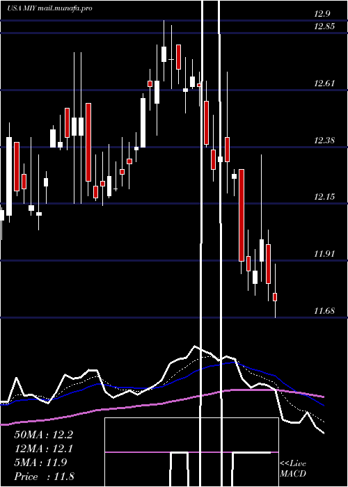  Daily chart BlackrockMuniyield