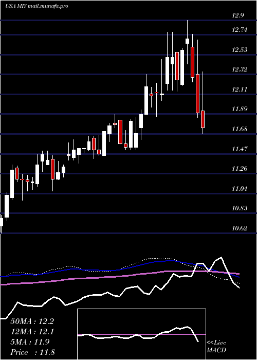  weekly chart BlackrockMuniyield