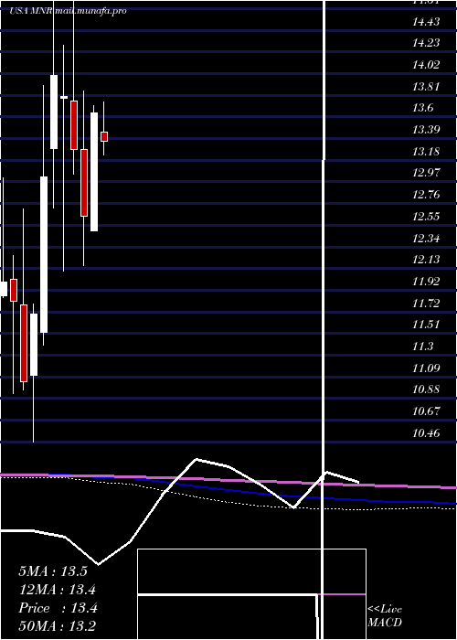  monthly chart MonmouthReal