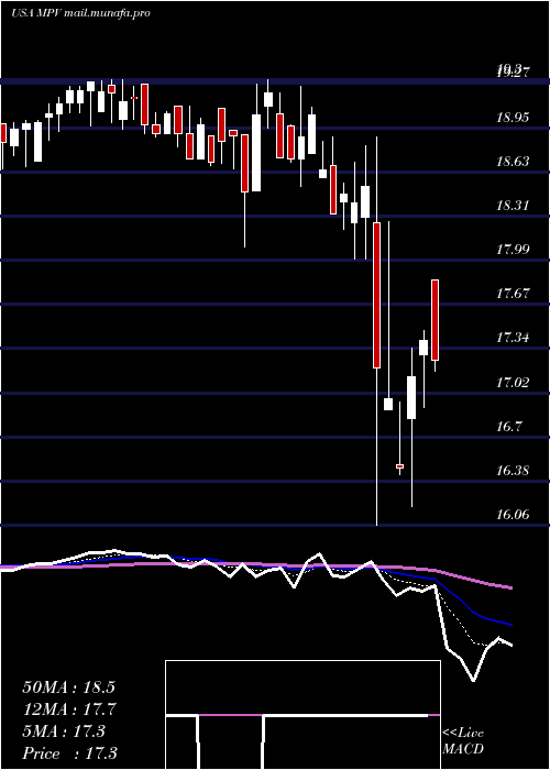  Daily chart BaringsParticipation