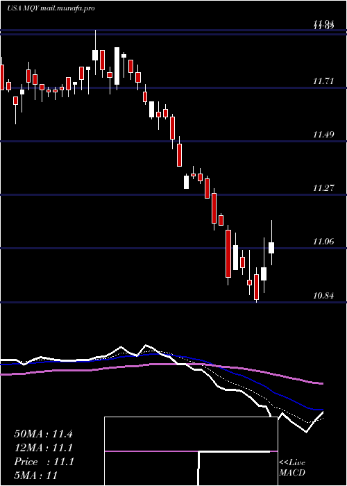  Daily chart BlackrockMuniyield