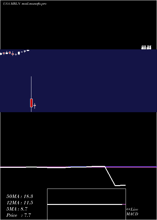  monthly chart MarlinBusiness