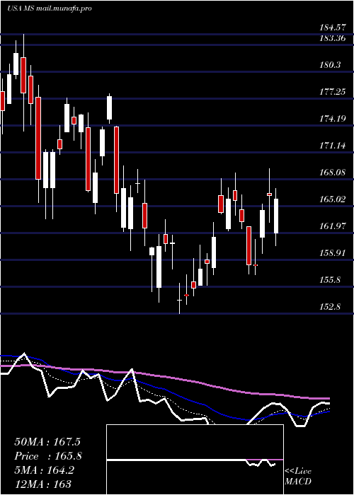  Daily chart MorganStanley