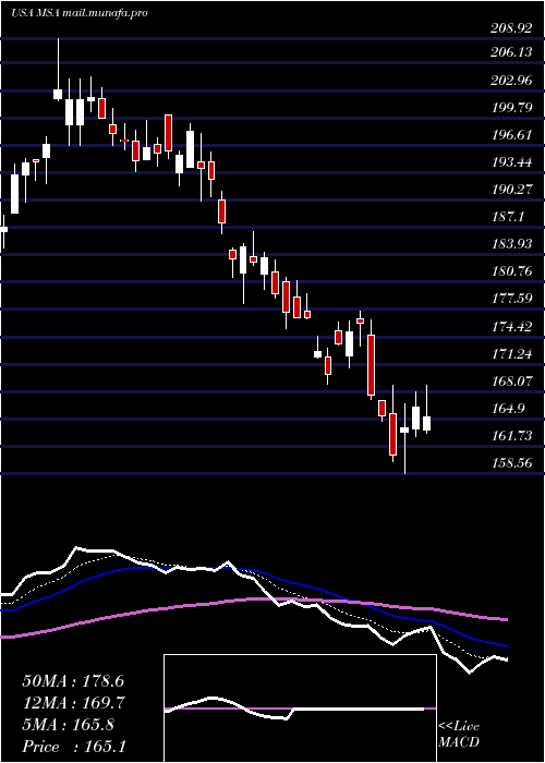  Daily chart MsaSafety