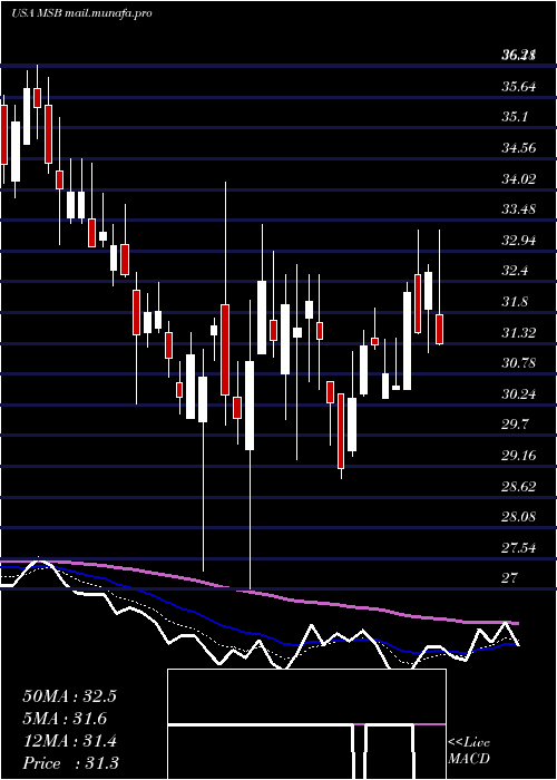  Daily chart MesabiTrust