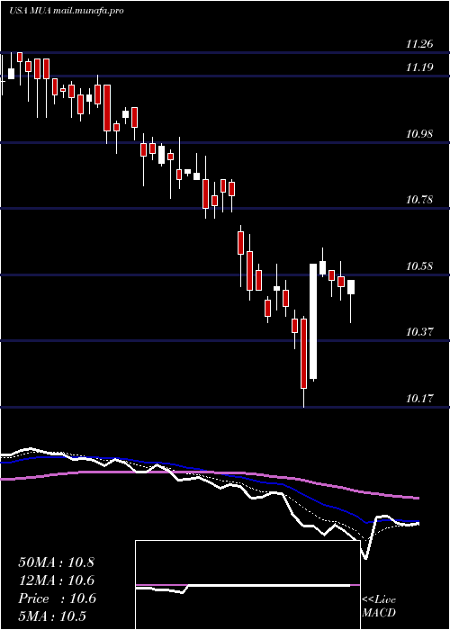  Daily chart BlackrockMuniassets