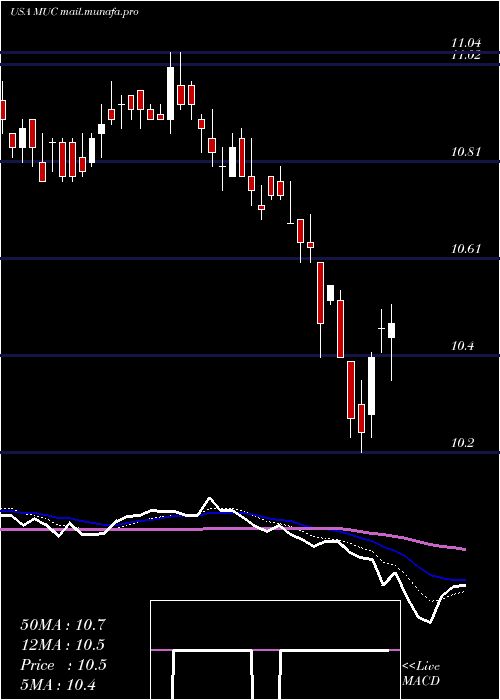  Daily chart BlackrockMuniholdings
