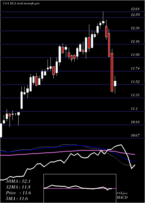  weekly chart BlackrockMuniholdings