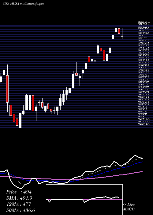  Daily chart MurphyUsa