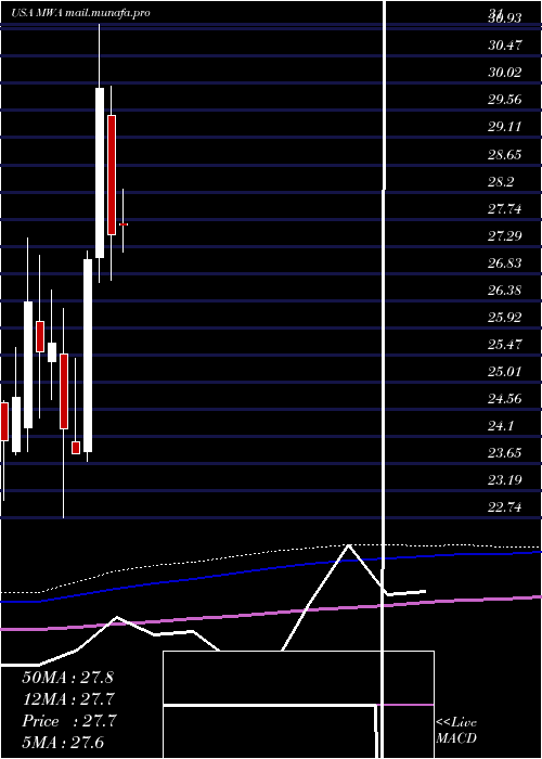 monthly chart MuellerWater