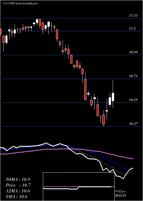  Daily chart BlackrockMuniyield
