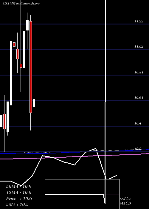  monthly chart BlackrockMuniyield