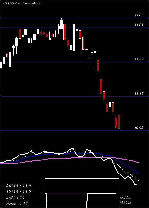  Daily chart NuveenNew