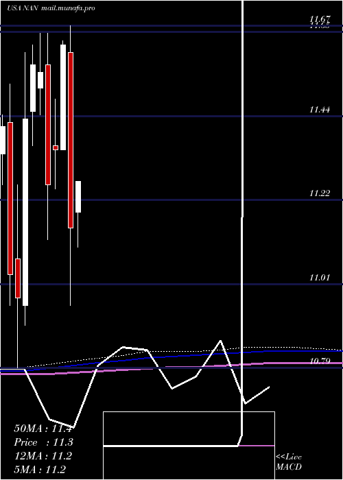  monthly chart NuveenNew