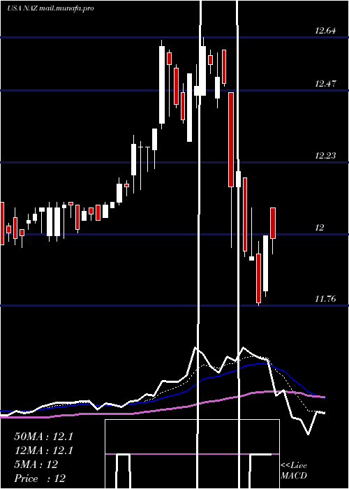  Daily chart NuveenArizona
