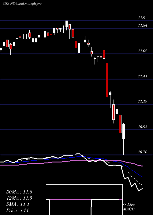 Daily chart NuveenAmt