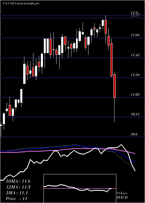  weekly chart NuveenAmt