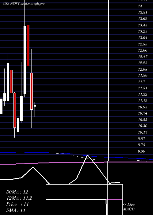  monthly chart NewtekBusiness