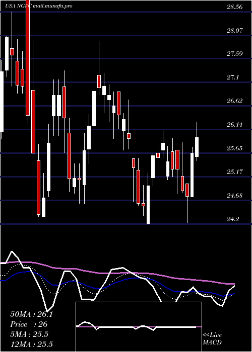  Daily chart NaturalGrocers